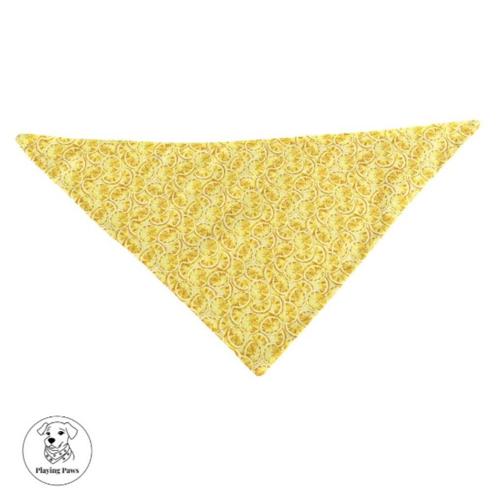 Handmade Double-Sided Dog Bandana (Medium)